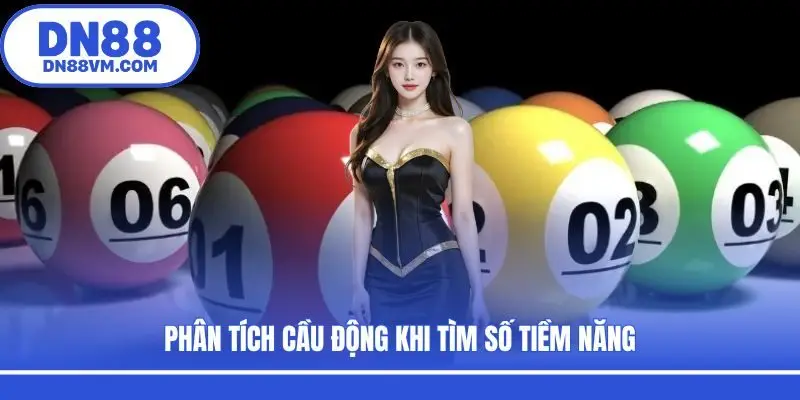Phân tích cầu động khi tìm số tiềm năng