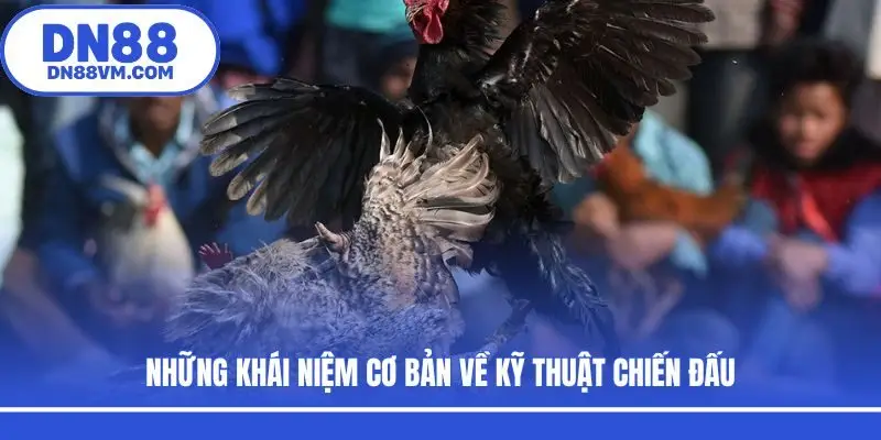 Những khái niệm cơ bản về kỹ thuật chiến đấu